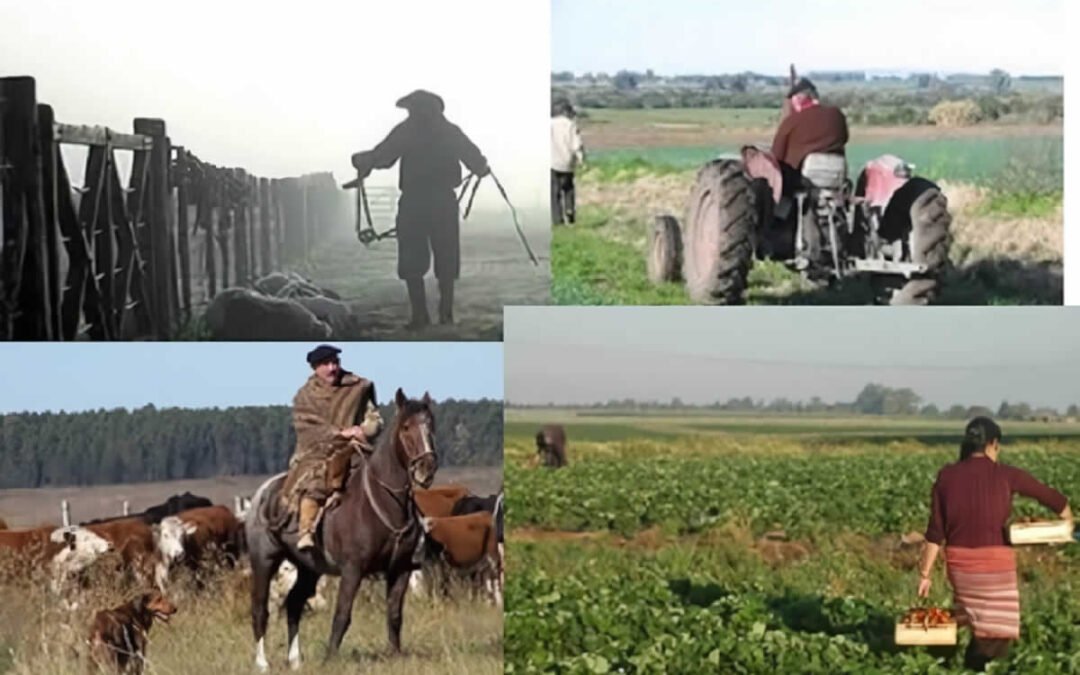 Trabajador Rural, muertes y su Seguridad Laboral